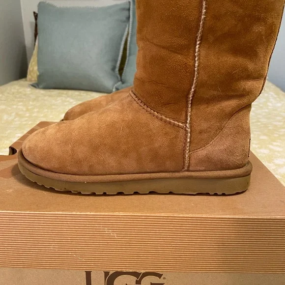 Classic short mini UGGs in Chestnut - Picture 6 of 9